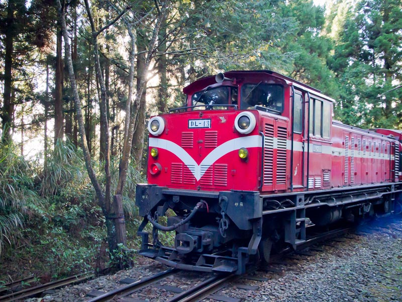 A red car of the Alishan Forest Railway driving through the forest