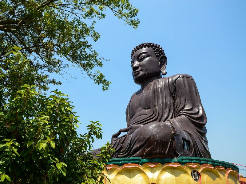 A large Buddha statue in seated meditation posture on a yellow pedestal, with tree branch and leaves on left side