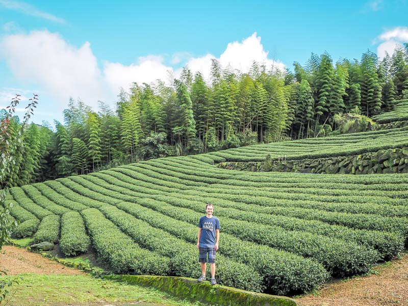 Nick Kembel standing in front of a tea farm