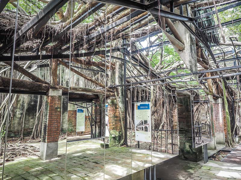 An abandoned warehouse filled with tree roots and vines