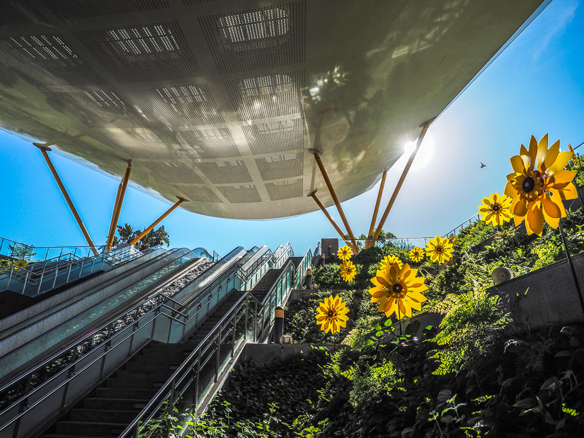 Looking up an escalator into a park, with some sunflowers on the side