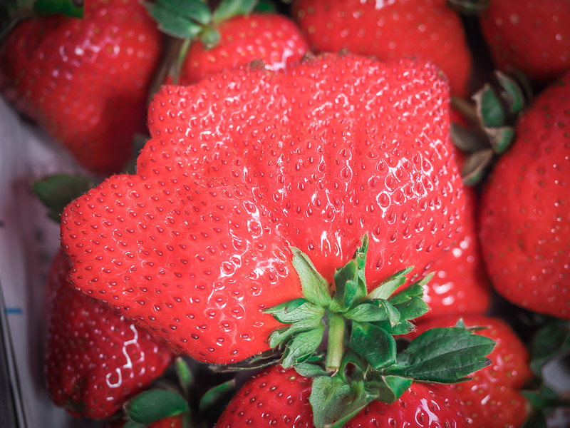 Close up of an enormous strawberry
