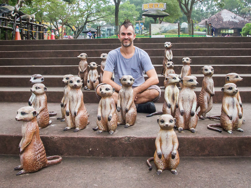 Nick Kembel crouching among a group of meerkat statues on a staircase in Leofoo Village