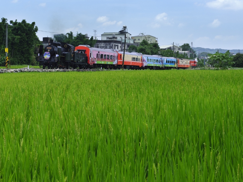 A train driving past a rice field, with traditional locomotive car at the front and colorful trains cars behind