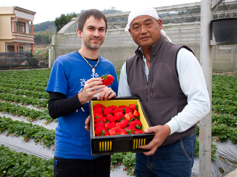 Nick kembel and a Taiwanese strawberry farmer posing for the camera and holding up a box of strawberries