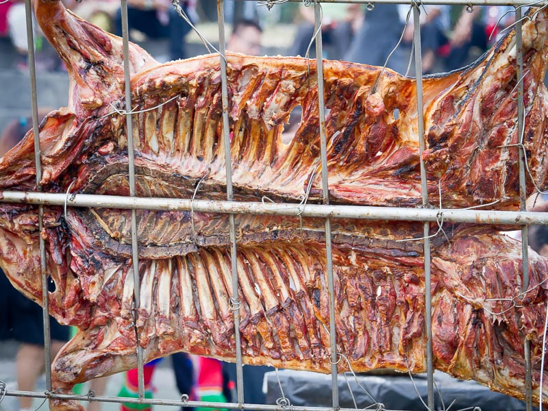 A whole wild boar cut in half and roasting sideways on a metal rack