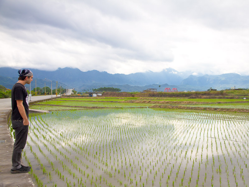 Nick Kembel standing beside a flooded rice paddy in Hualien