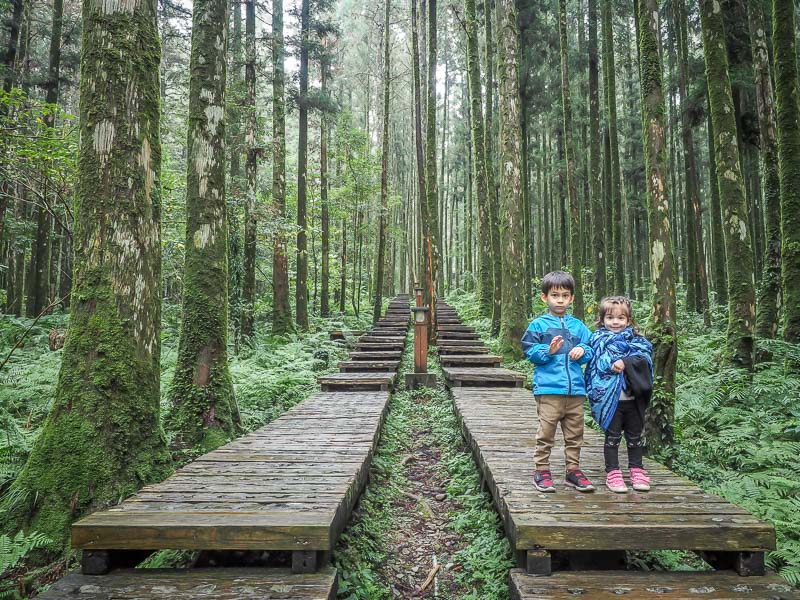 Two kids standing on one side of a split wooden walkway through the forest