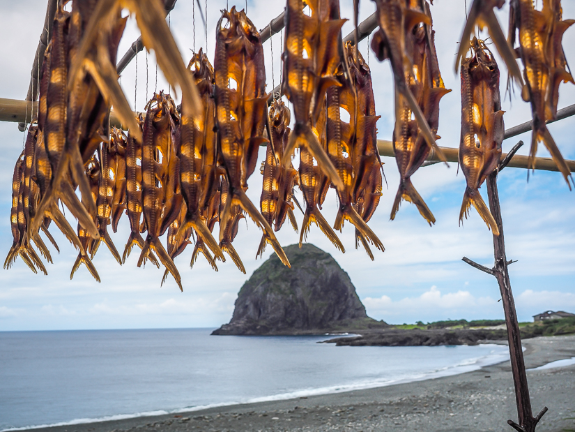 A rack with multiple fish hanging and drying in the sun on Orchid Island