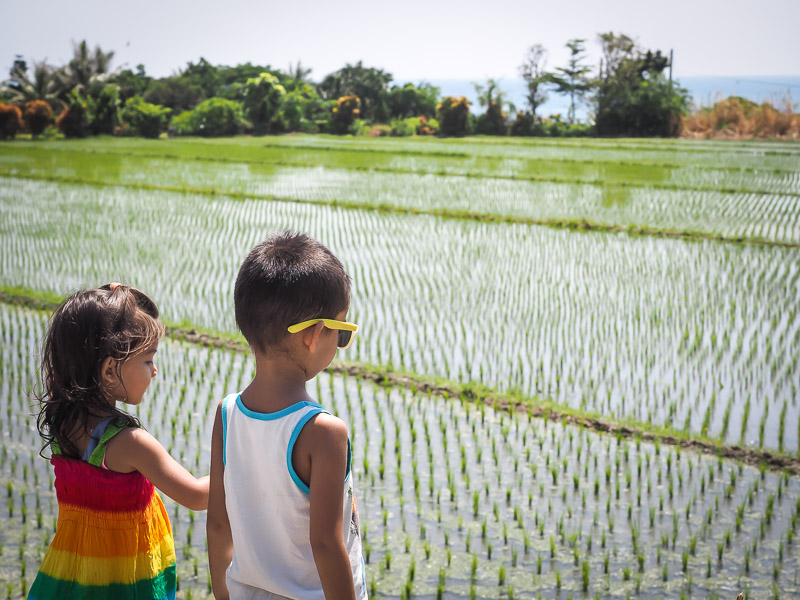 Two kids looking over a rice paddy